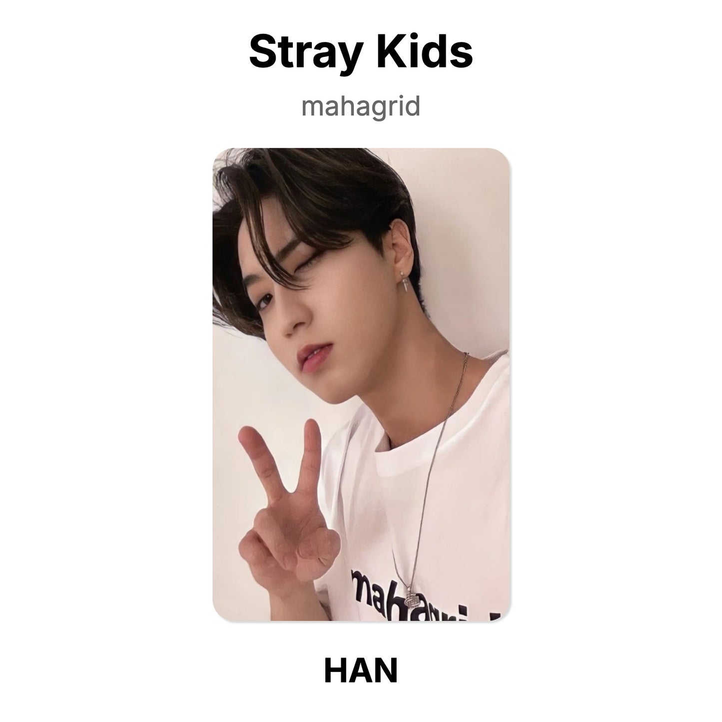 Stray Kids mahagrid photocard oficial