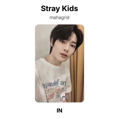 Stray Kids mahagrid photocard oficial