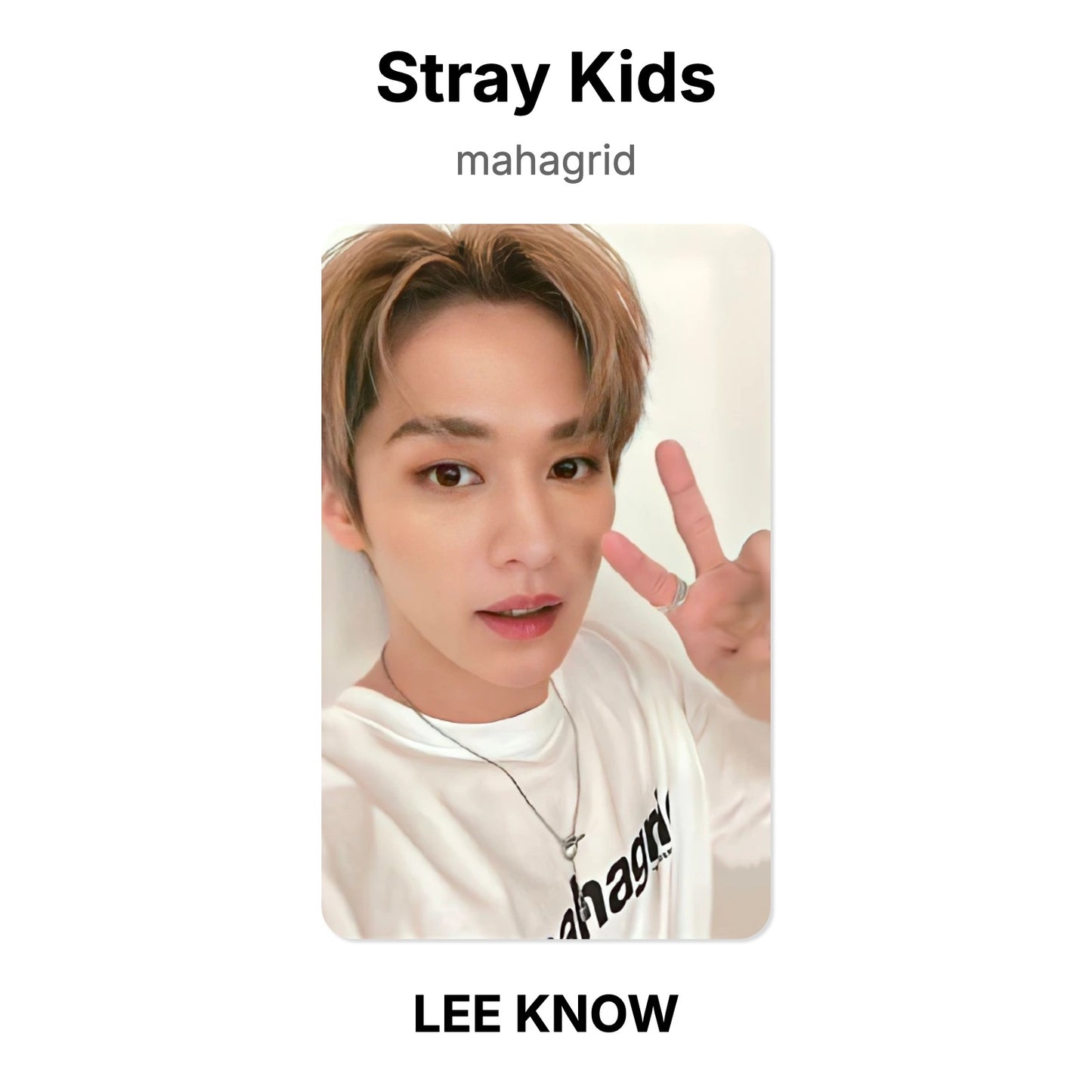 Stray Kids mahagrid photocard oficial