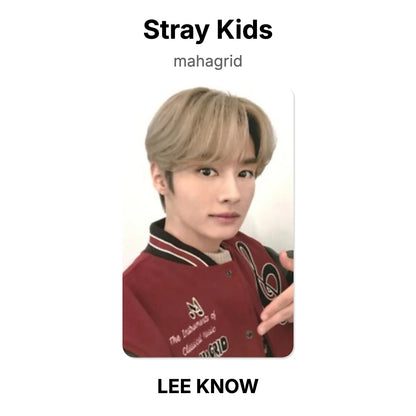 Stray Kids mahagrid photocard oficial