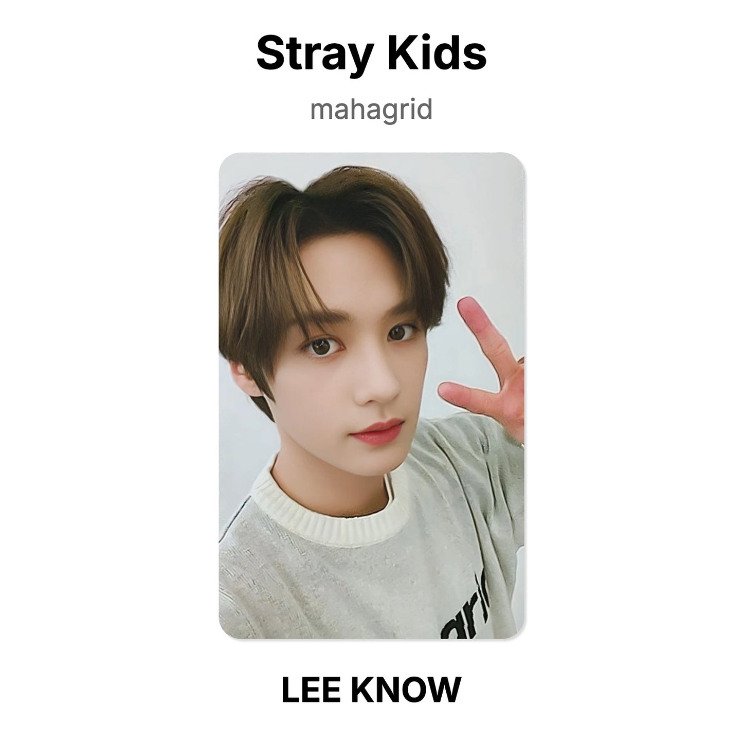 Stray Kids mahagrid photocard oficial