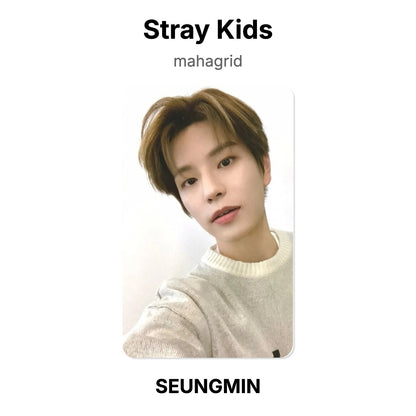 Stray Kids mahagrid photocard oficial