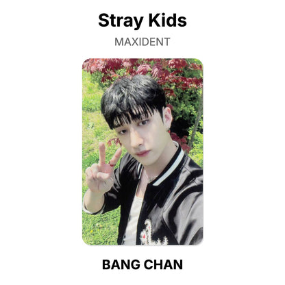 Stray Kids MAXIDENT Offizielle Photocard