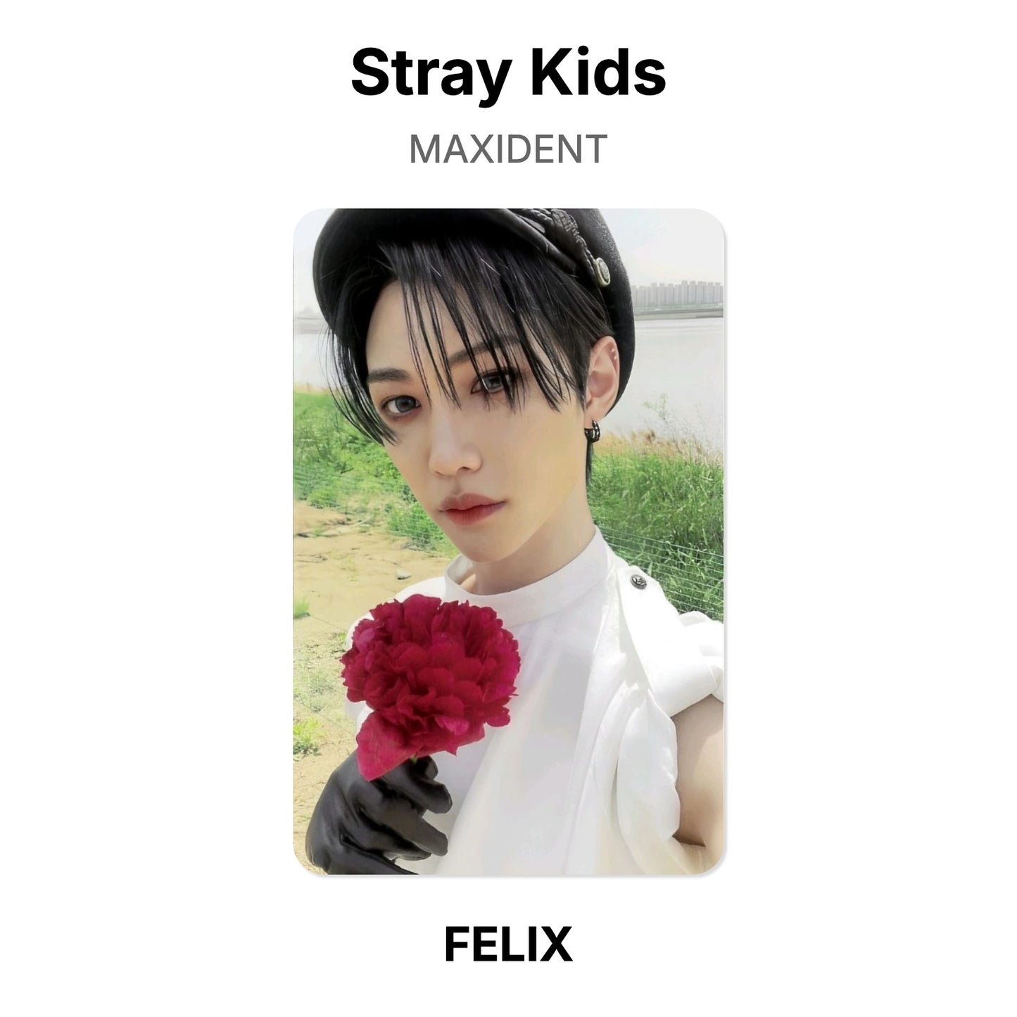 Stray Kids MAXIDENT Offizielle Photocard