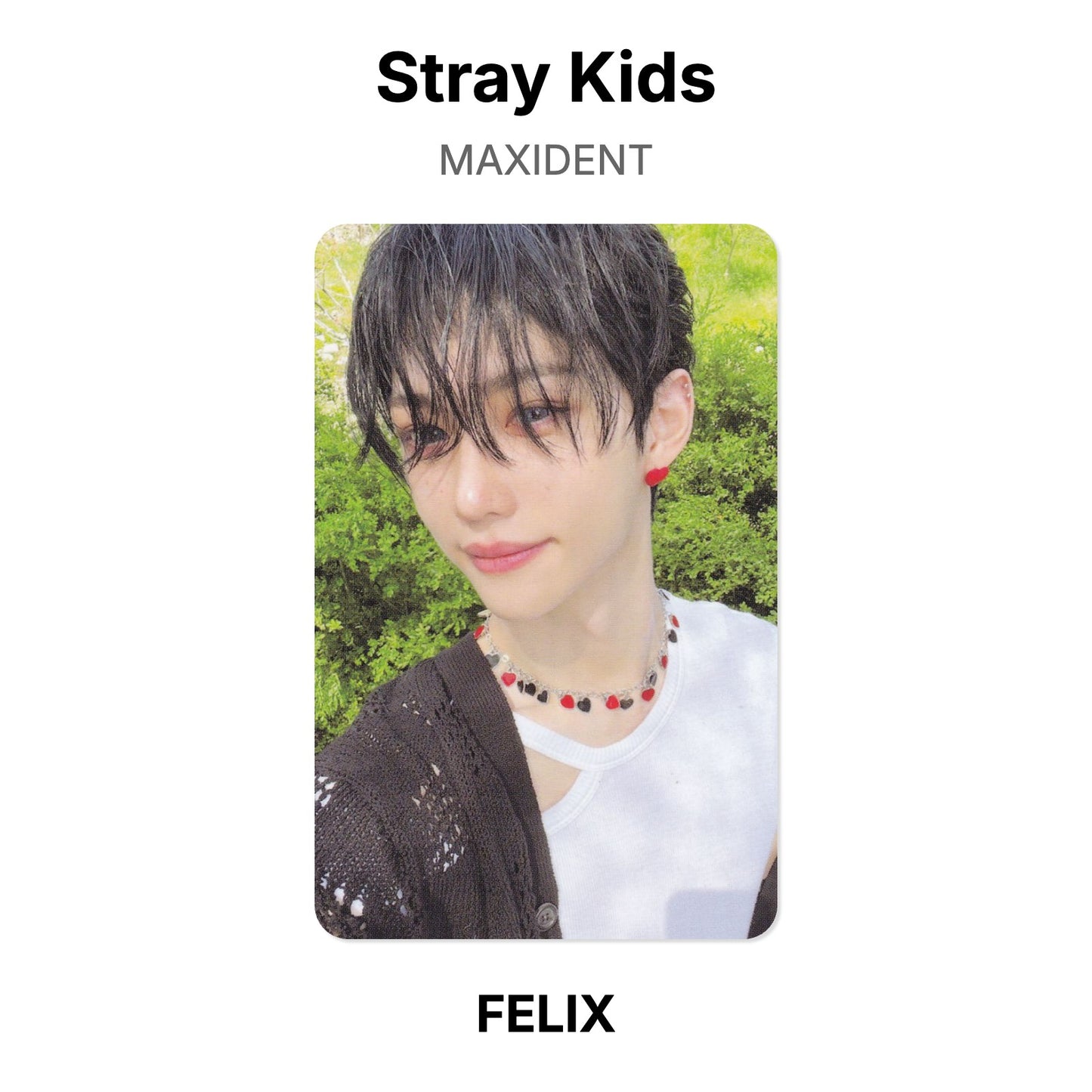 Stray Kids MAXIDENT Offizielle Photocard
