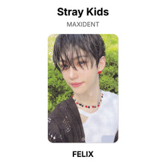FELIX 03