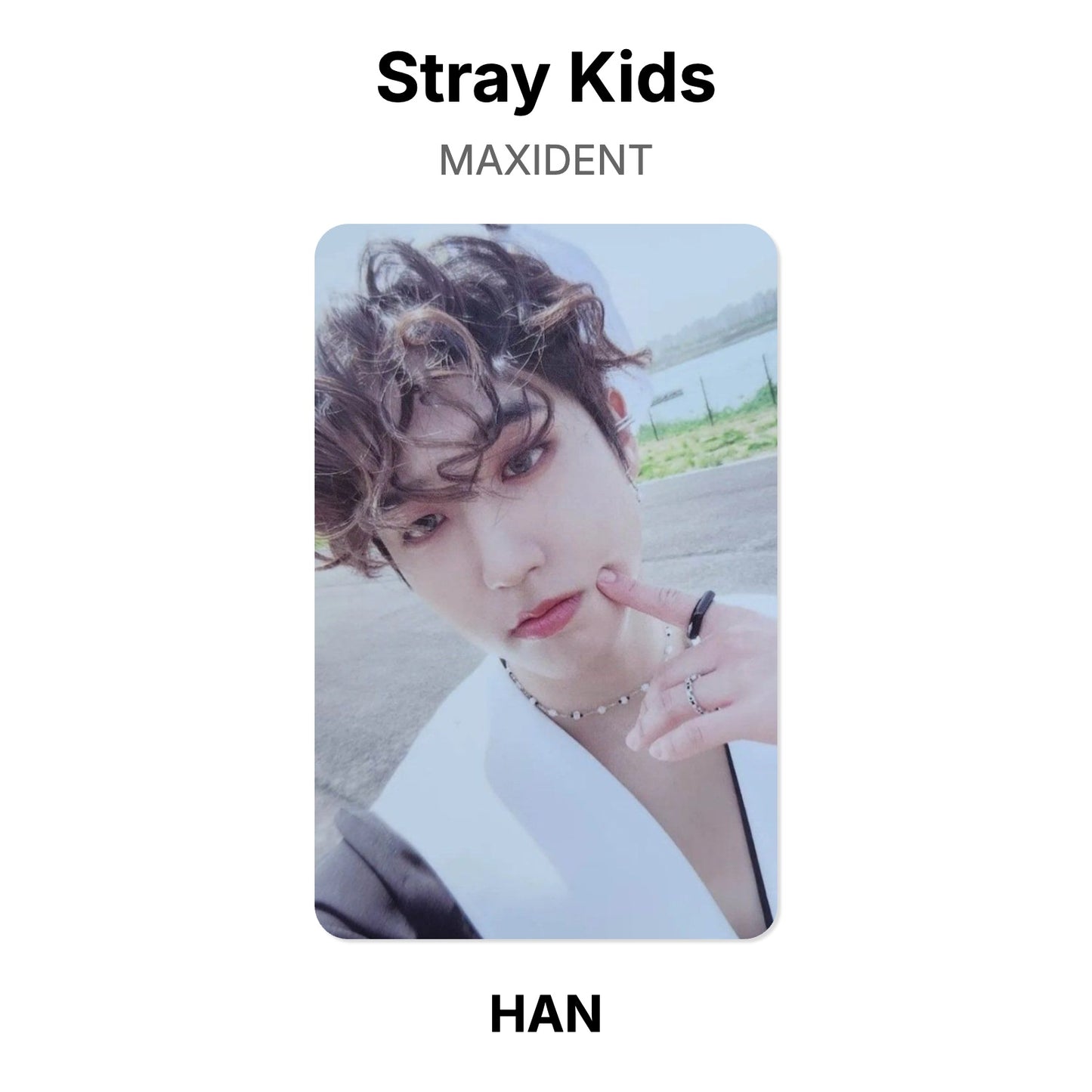 Stray Kids MAXIDENT Offizielle Photocard