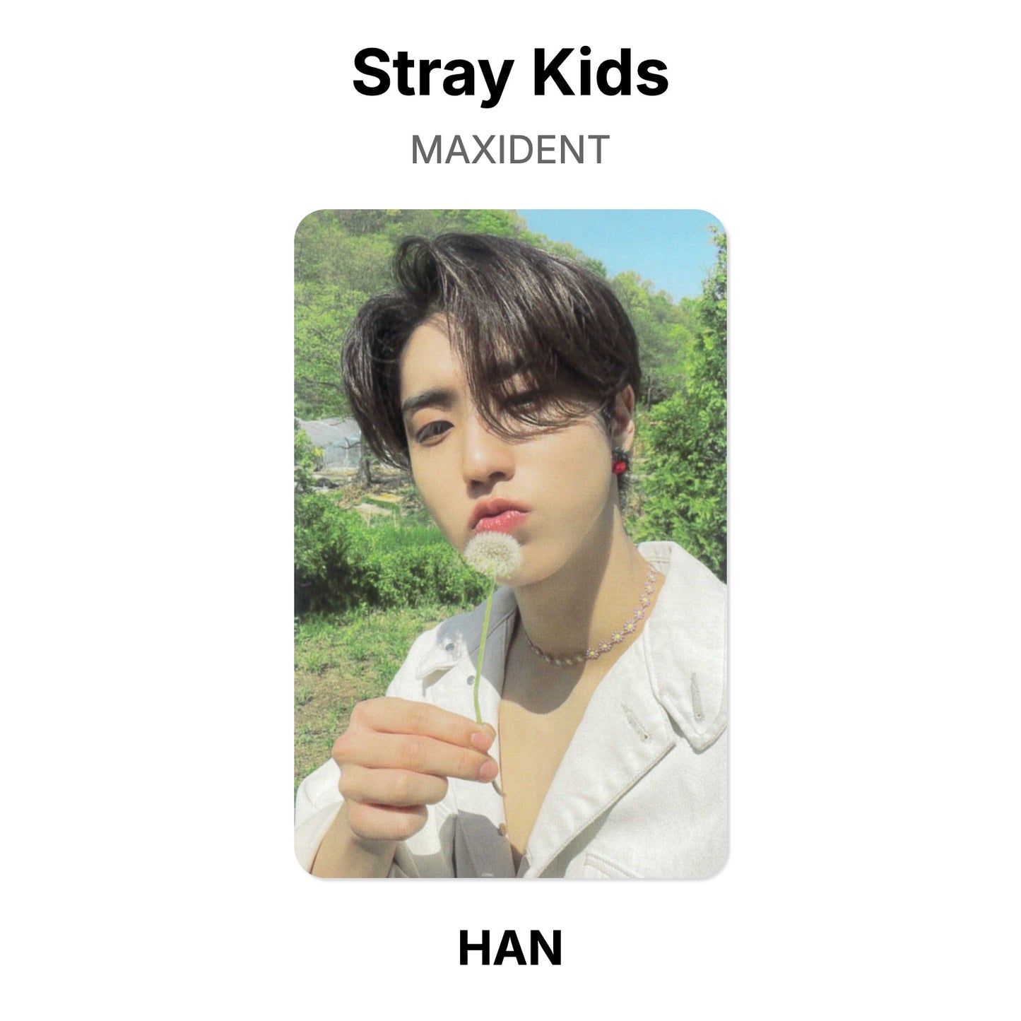 Stray Kids MAXIDENT Offizielle Photocard