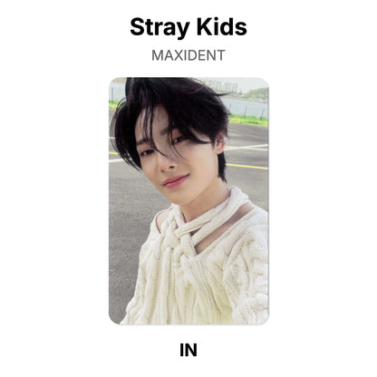 Stray Kids MAXIDENT Offizielle Photocard