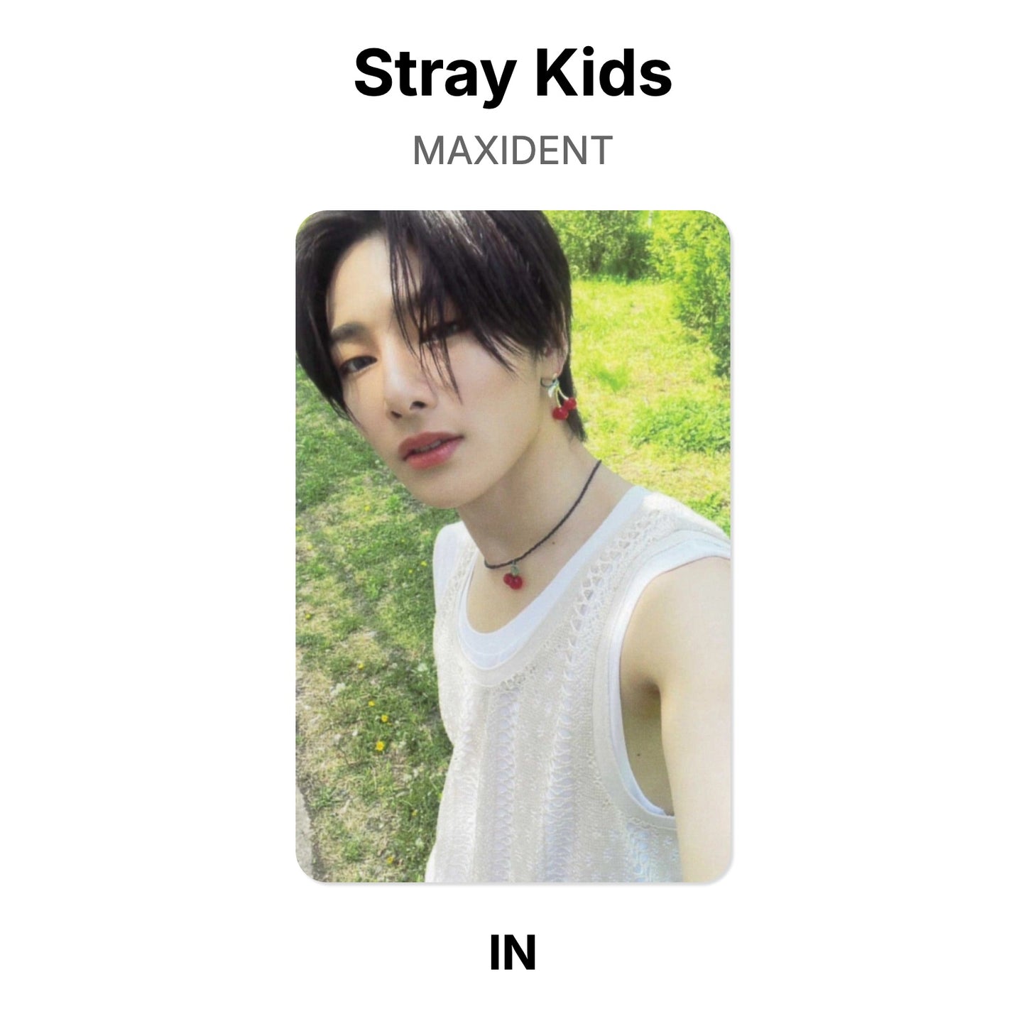 Stray Kids MAXIDENT Offizielle Photocard