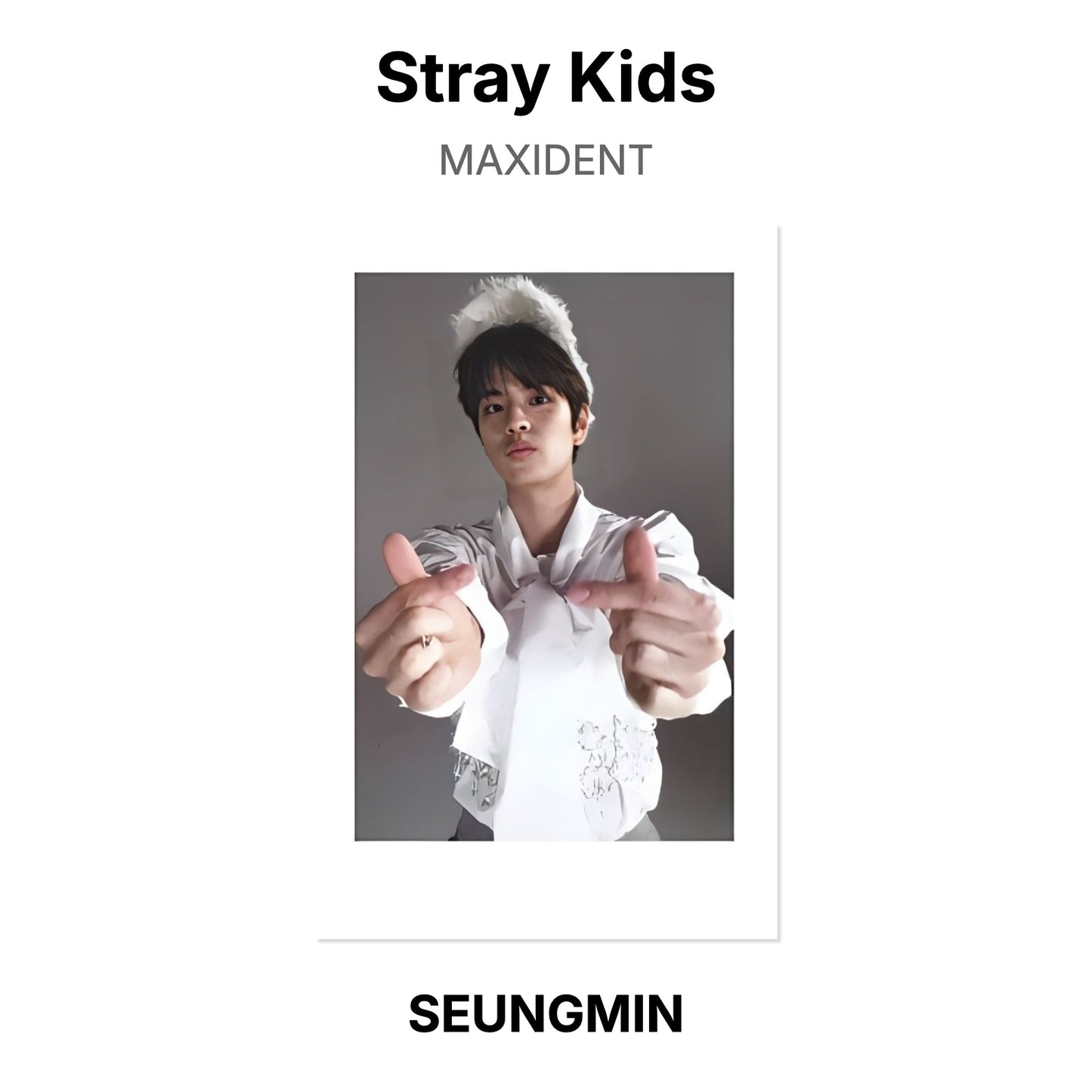 Stray Kids MAXIDENT Offizielle Photocard