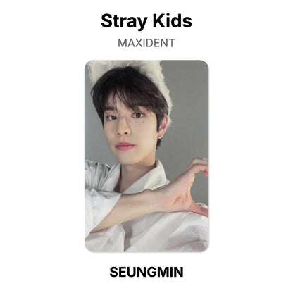 Stray Kids MAXIDENT Offizielle Photocard
