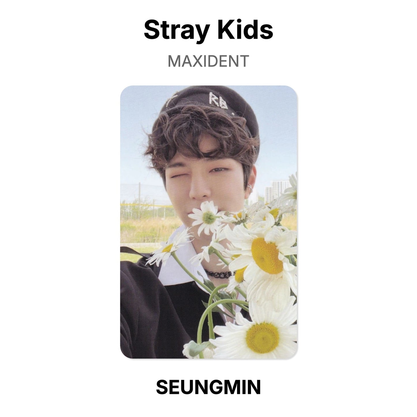 Stray Kids MAXIDENT Offizielle Photocard