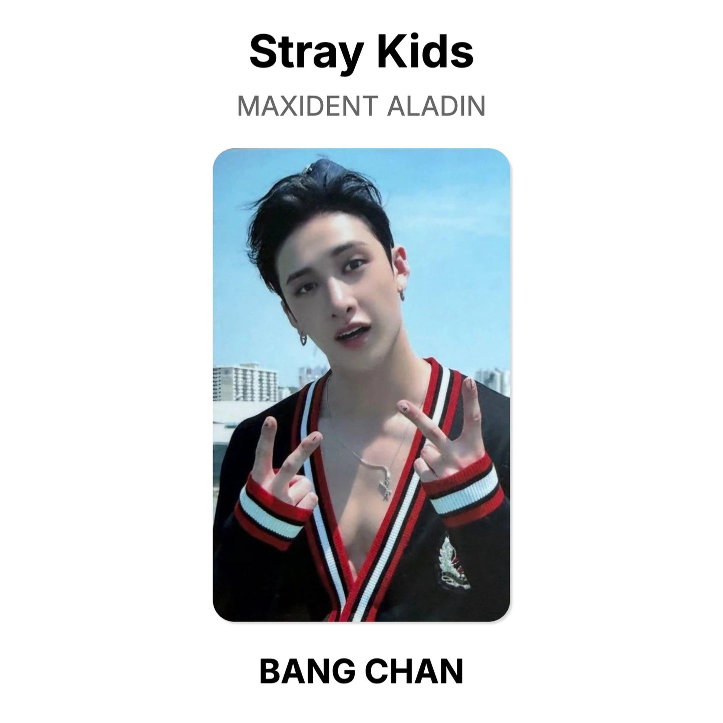 Stray Kids MAXIDENT ALADIN Offizielle Photocard