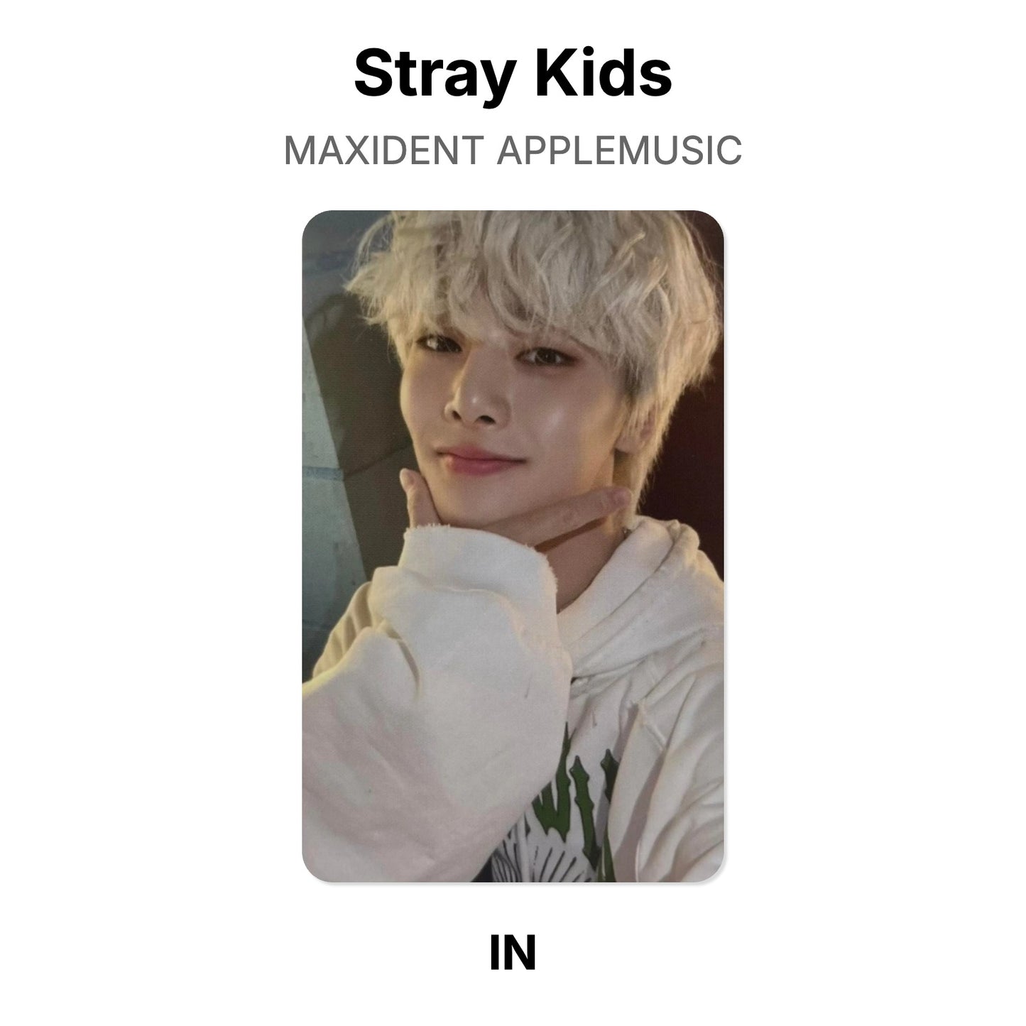 Stray Kids MAXIDENT APPLEMUSIC Official Photocard