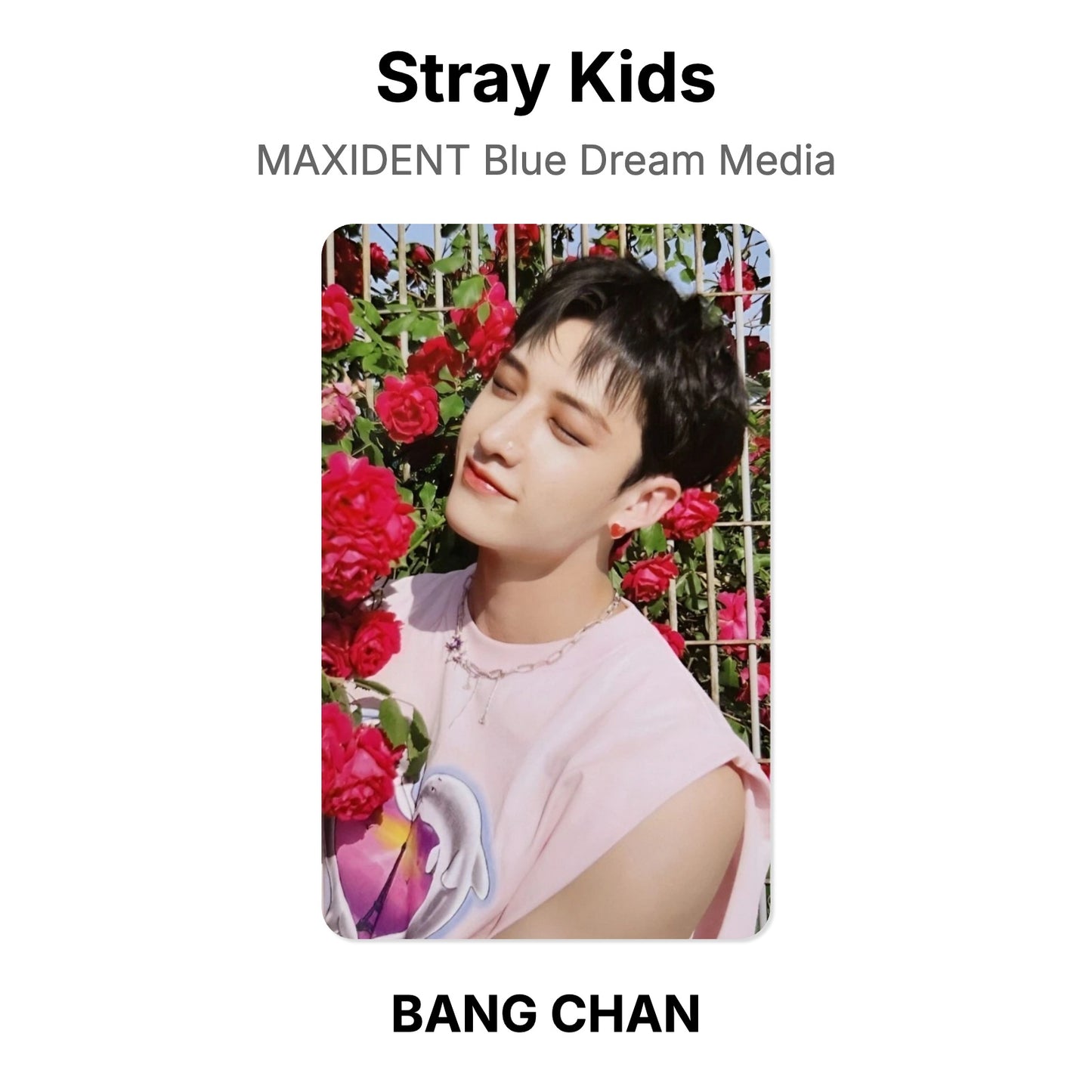 Stray Kids MAXIDENT Blue Dream Media photocard officielle