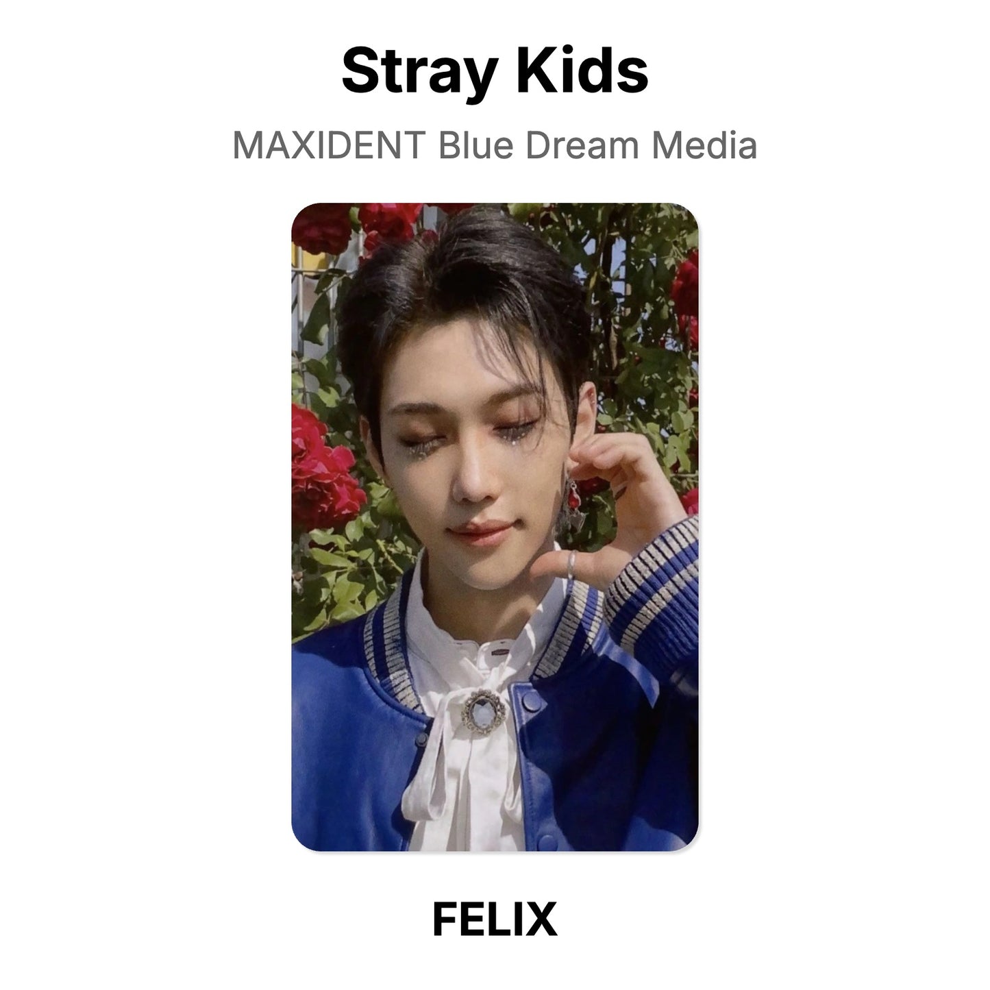 Stray Kids MAXIDENT Blue Dream Media photocard officielle