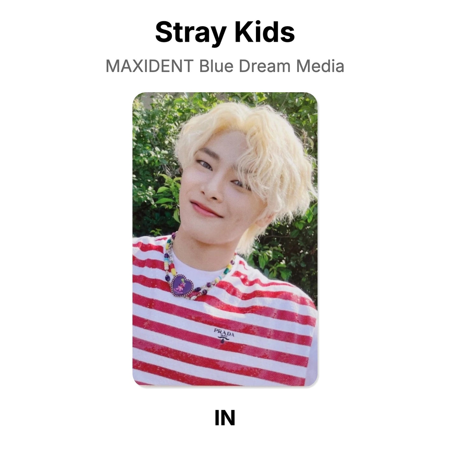Stray Kids MAXIDENT Blue Dream Media photocard officielle