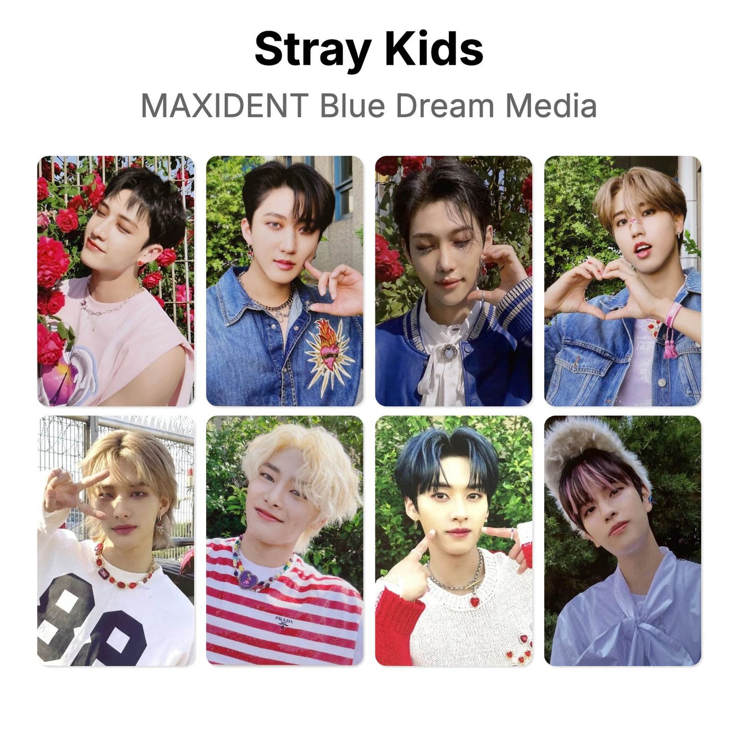Stray Kids MAXIDENT Blue Dream Media photocard officielle