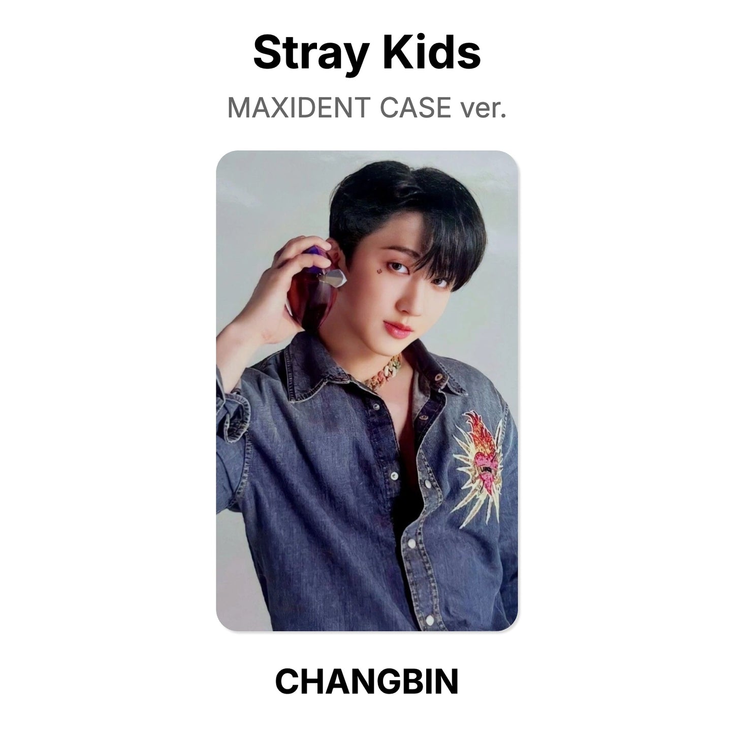 Stray Kids MAXIDENT CASE ver. Offizielle Photocard
