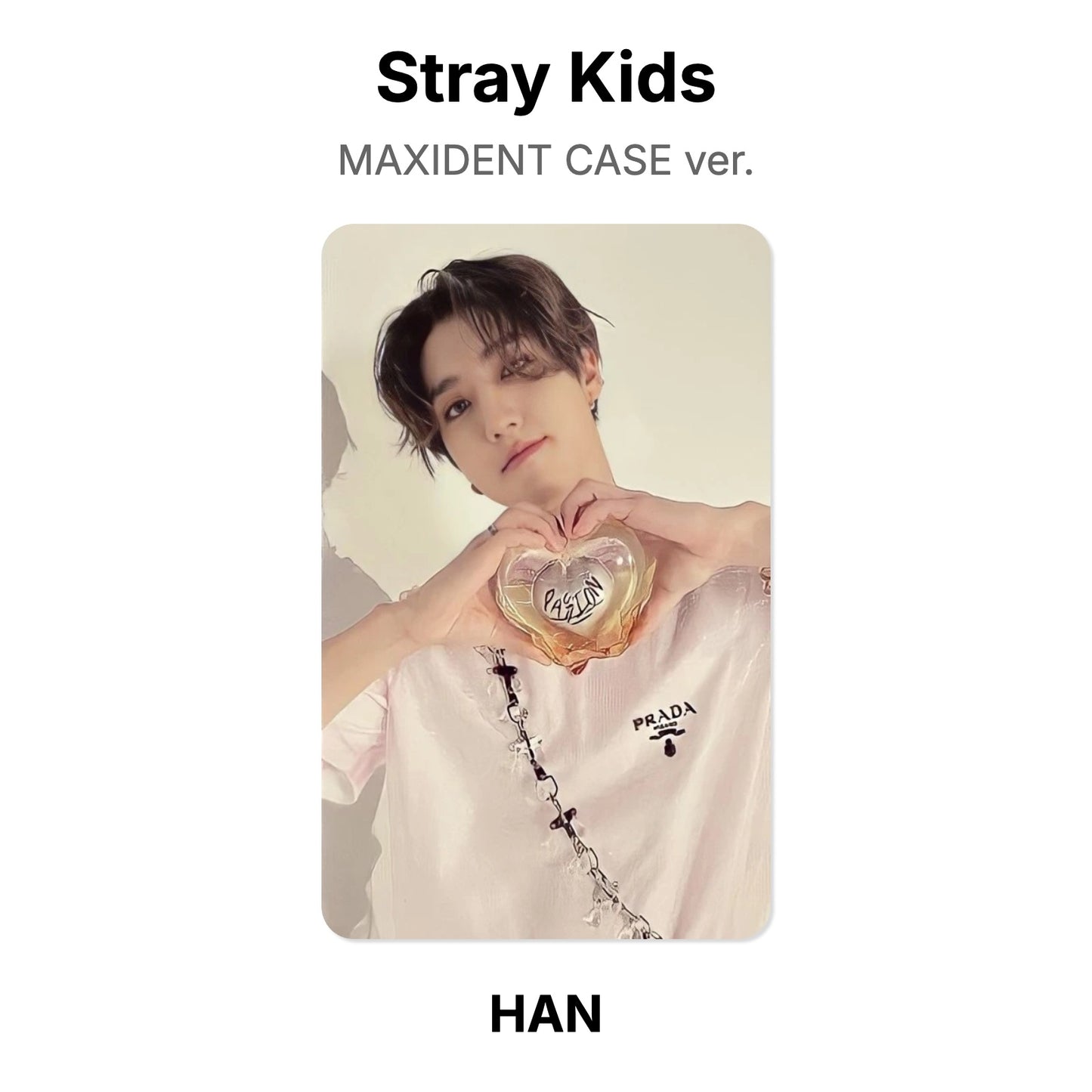 Stray Kids MAXIDENT CASE ver. Offizielle Photocard