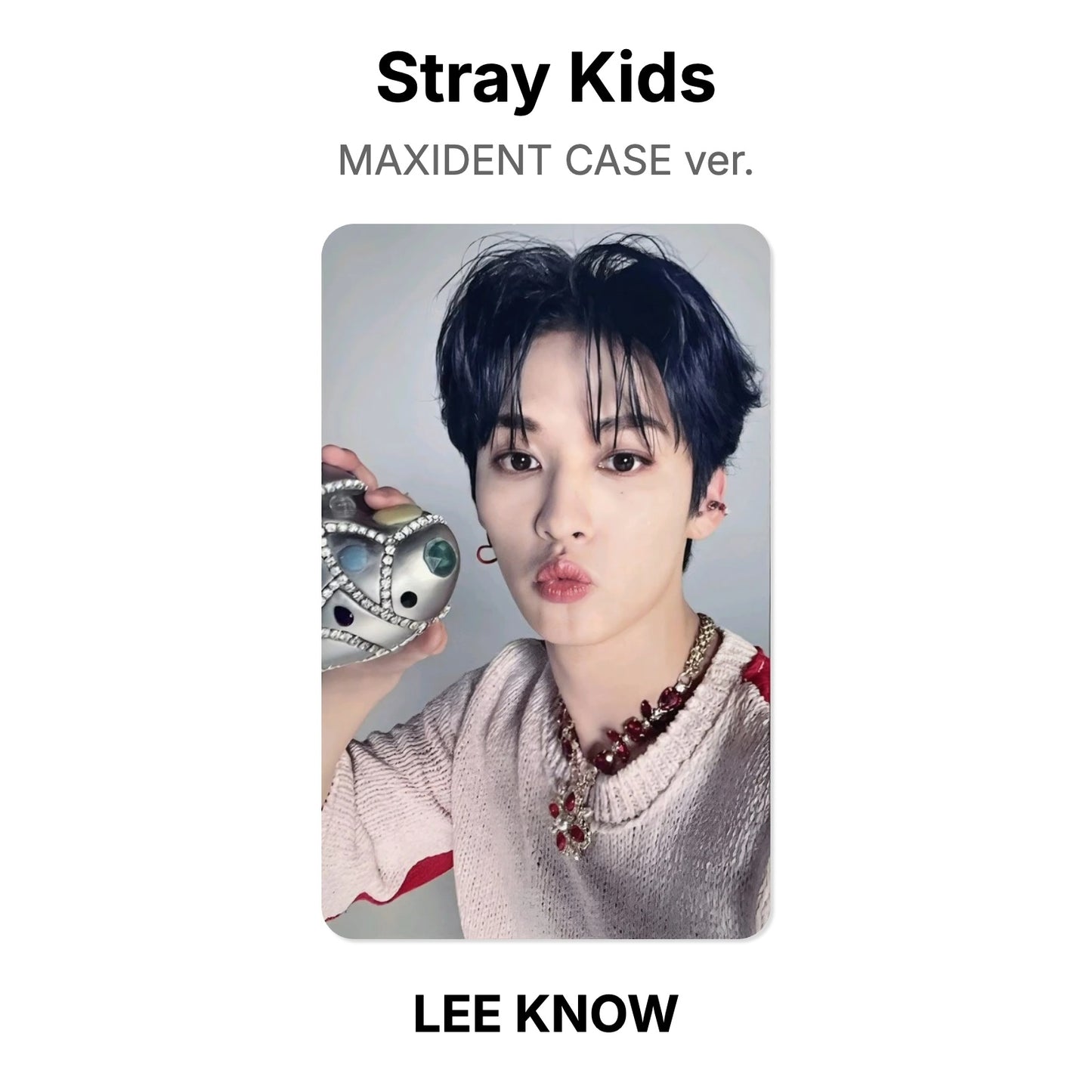 Stray Kids MAXIDENT CASE ver. Offizielle Photocard