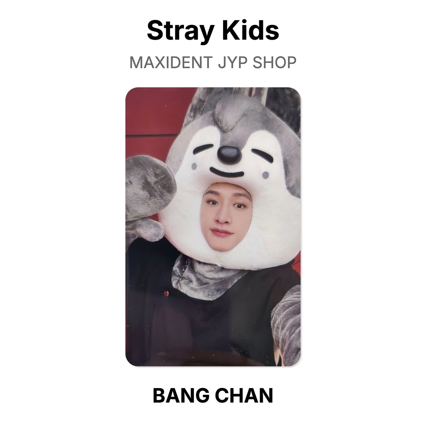 Stray Kids MAXIDENT JYP SHOP photocard oficial