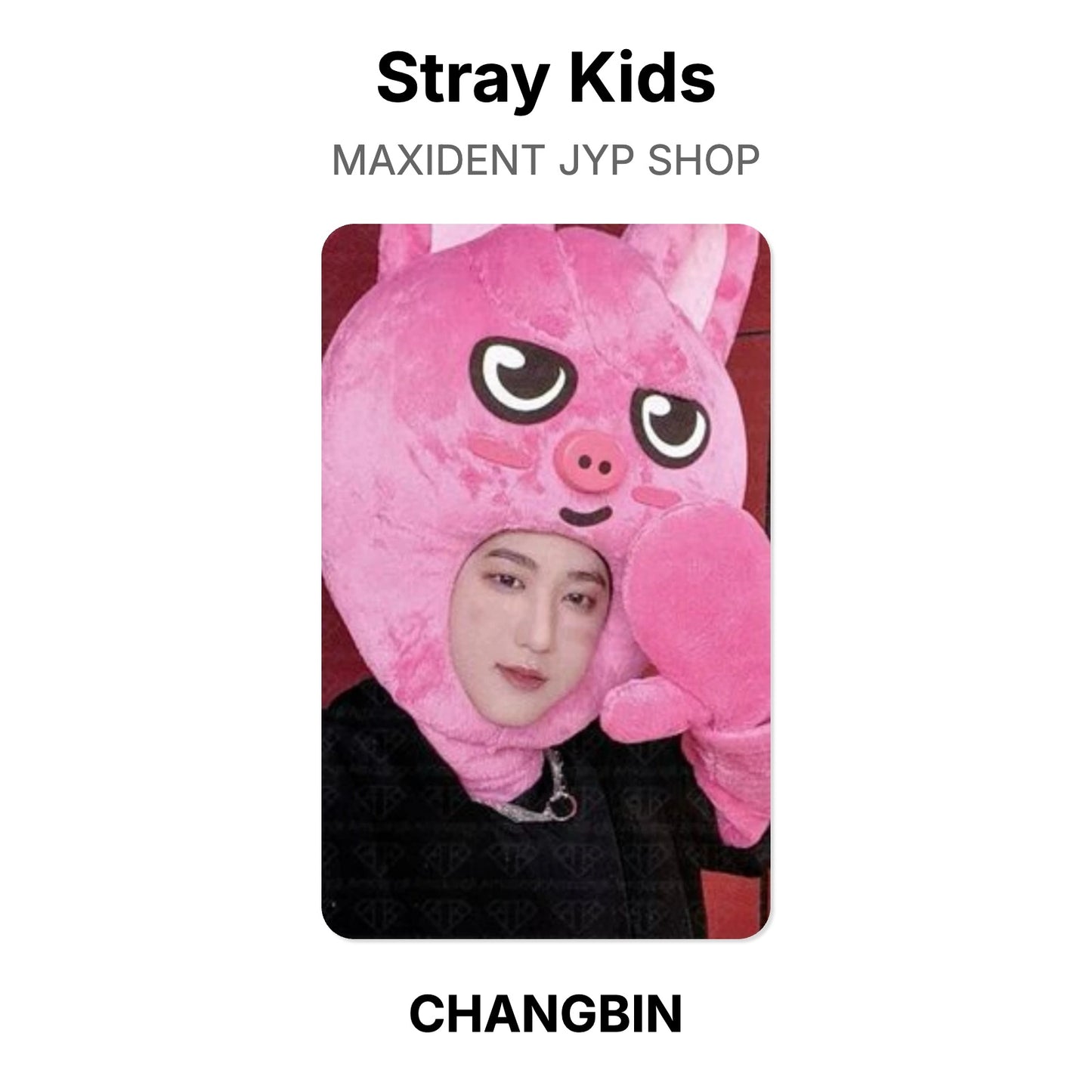 Stray Kids MAXIDENT JYP SHOP photocard oficial