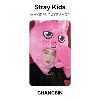 Stray Kids MAXIDENT JYP SHOP photocard oficial