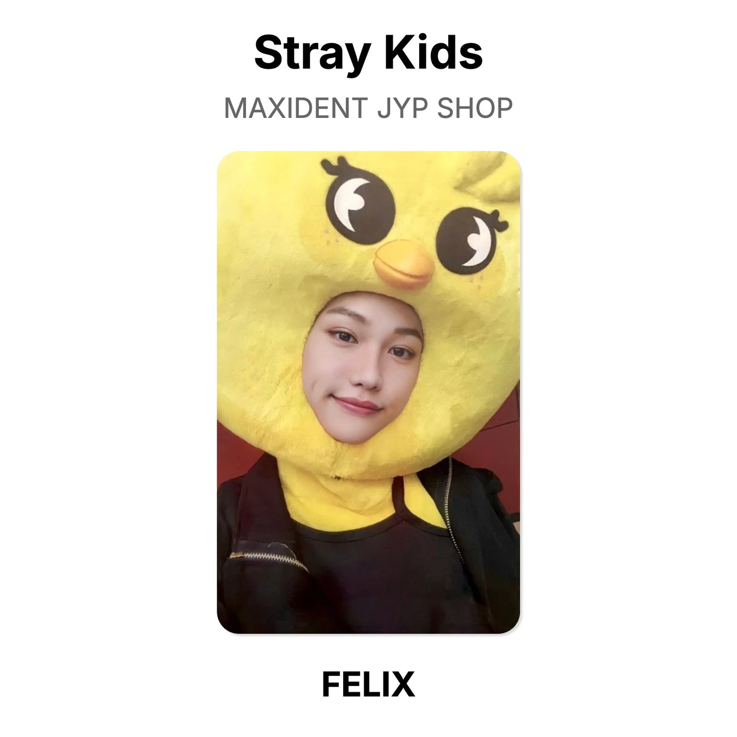 Stray Kids MAXIDENT JYP SHOP photocard oficial