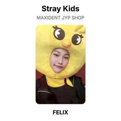 Stray Kids MAXIDENT JYP SHOP photocard oficial