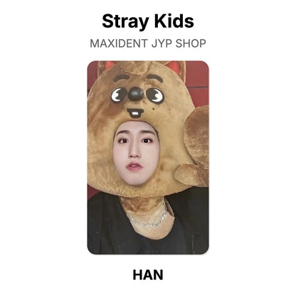 Stray Kids MAXIDENT JYP SHOP photocard oficial