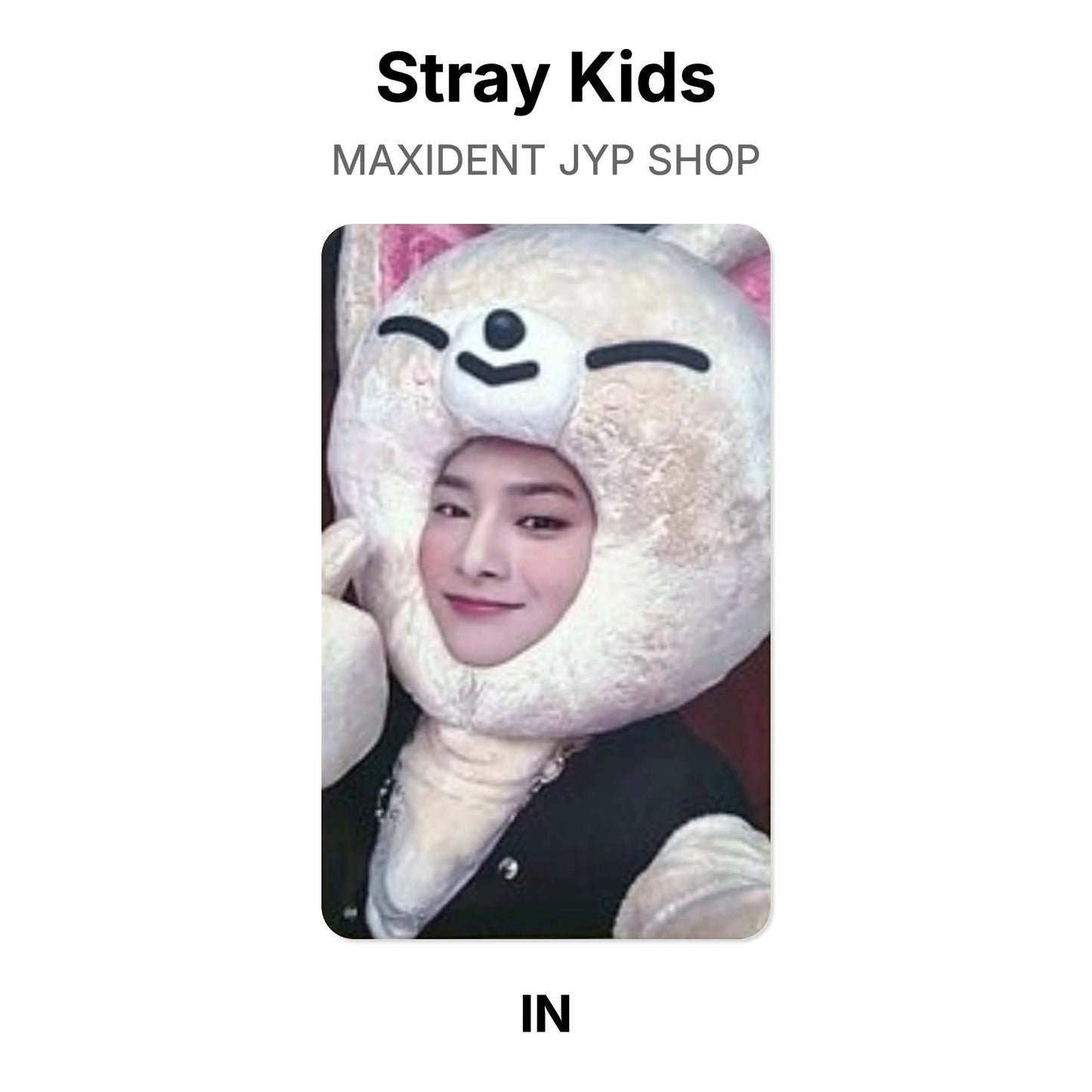 Stray Kids MAXIDENT JYP SHOP photocard oficial
