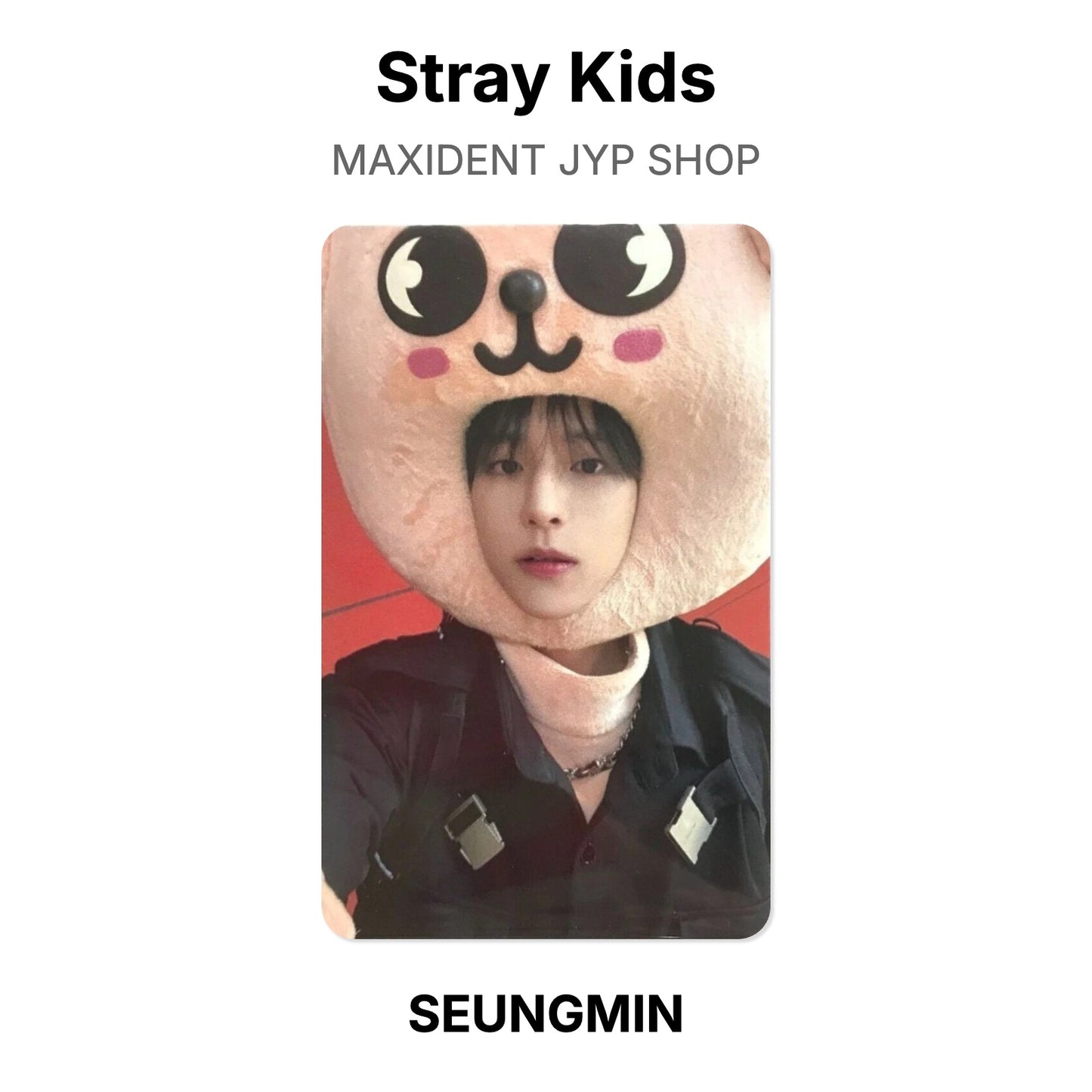 Stray Kids MAXIDENT JYP SHOP photocard oficial