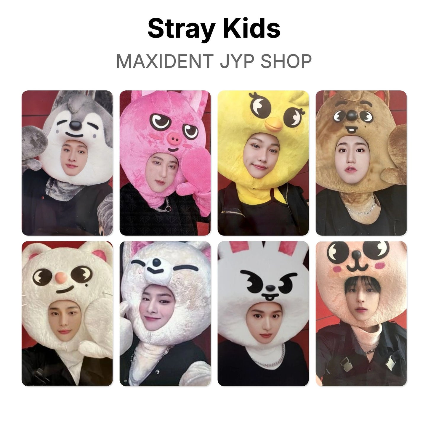 Stray Kids MAXIDENT JYP SHOP photocard oficial