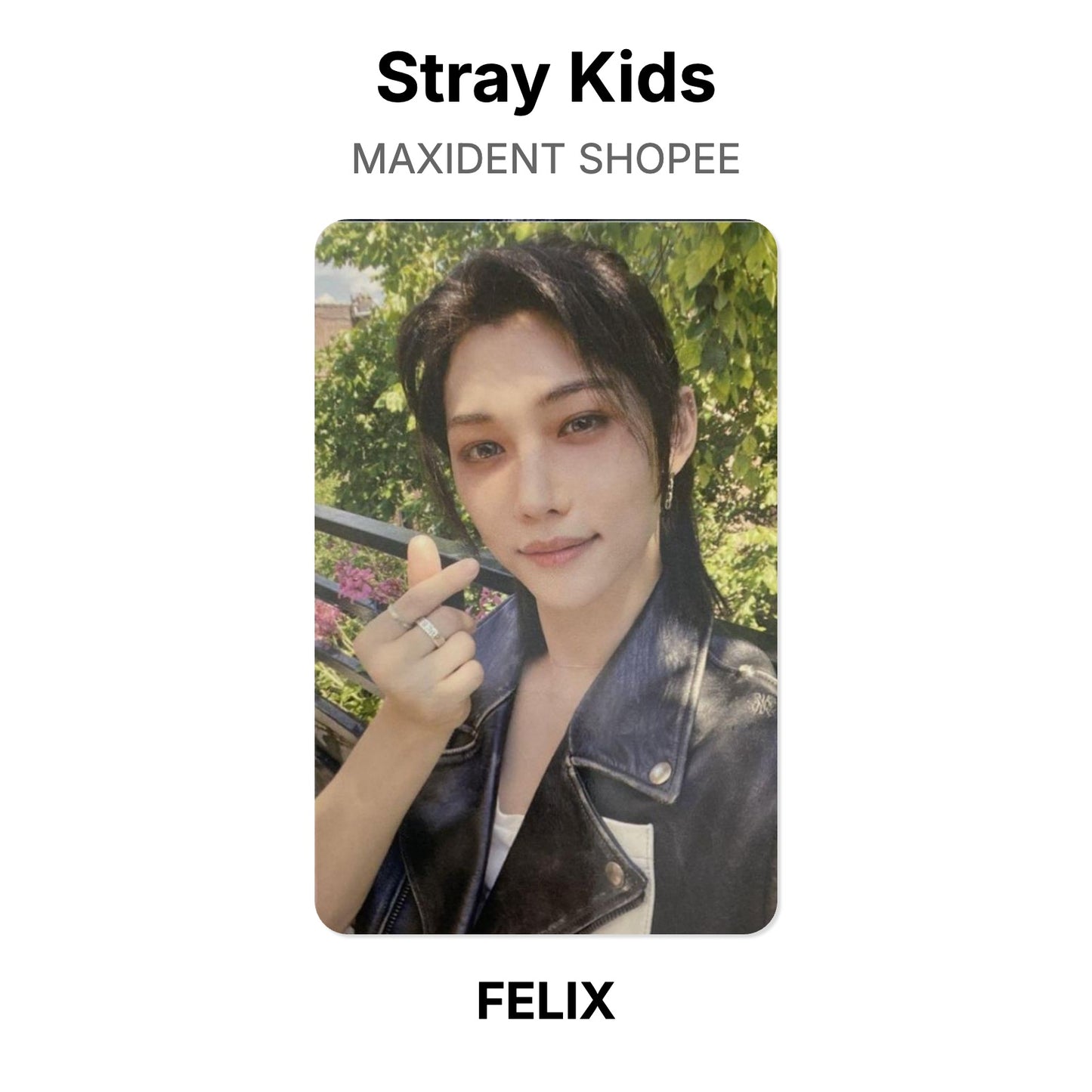 Stray Kids MAXIDENT SHOPEE 官方小卡