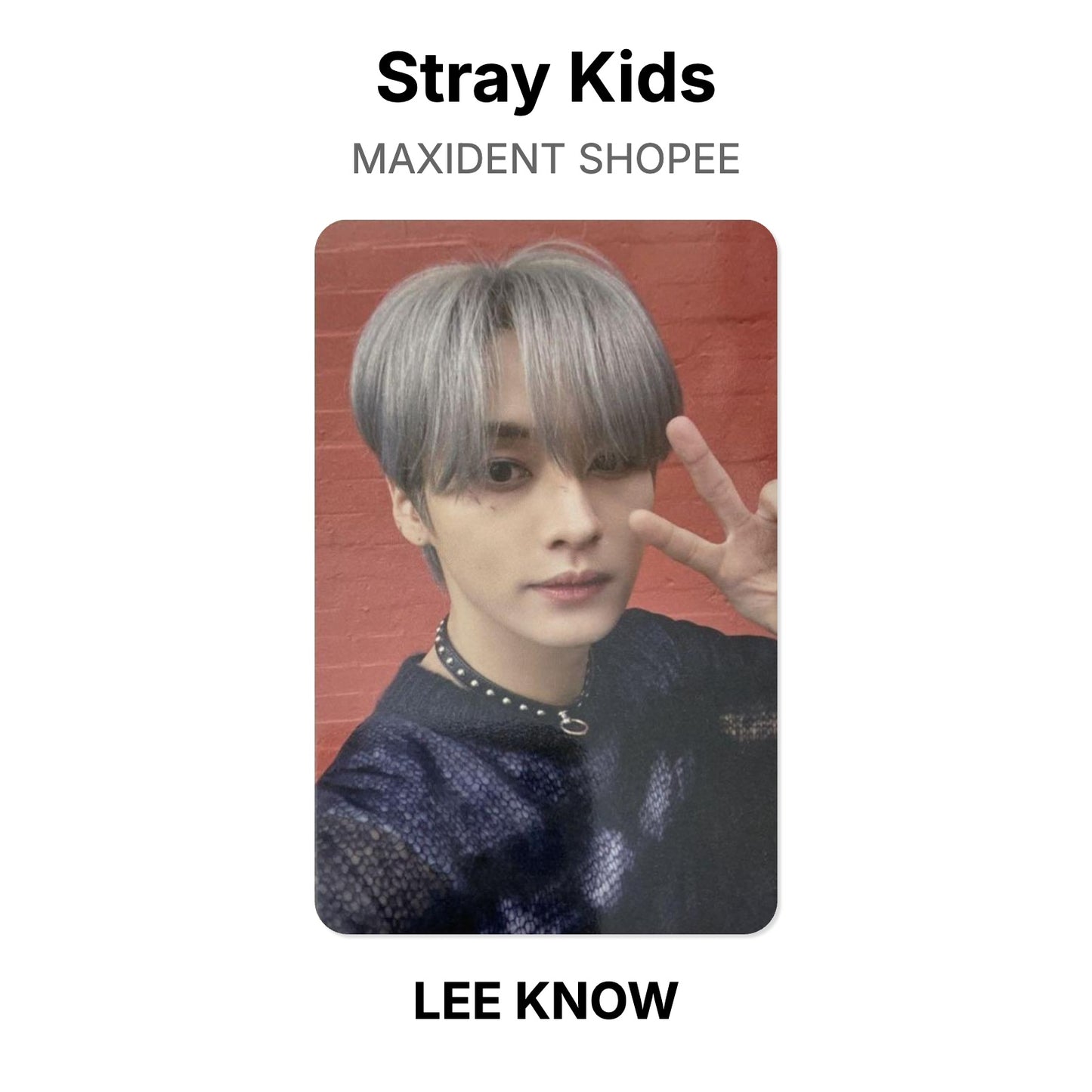 Stray Kids MAXIDENT SHOPEE 官方小卡