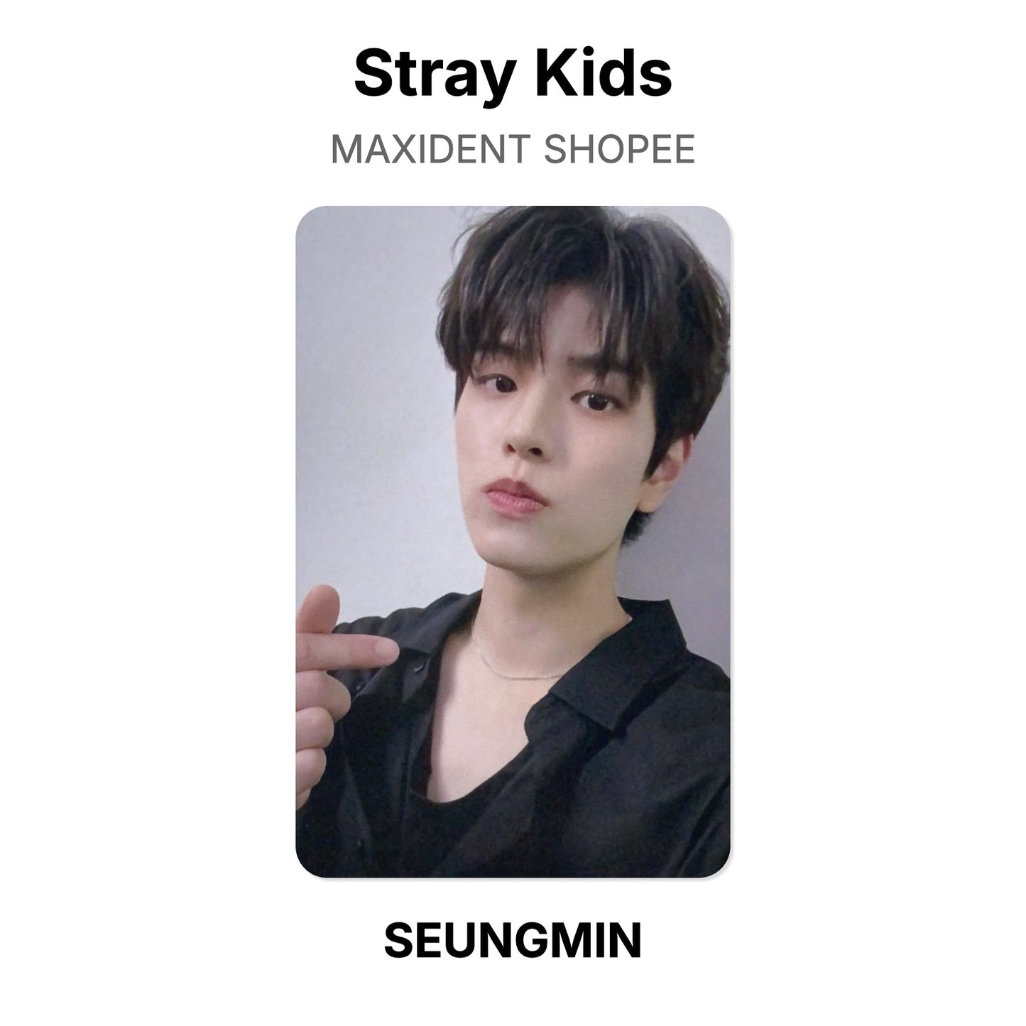 Stray Kids MAXIDENT SHOPEE 官方小卡
