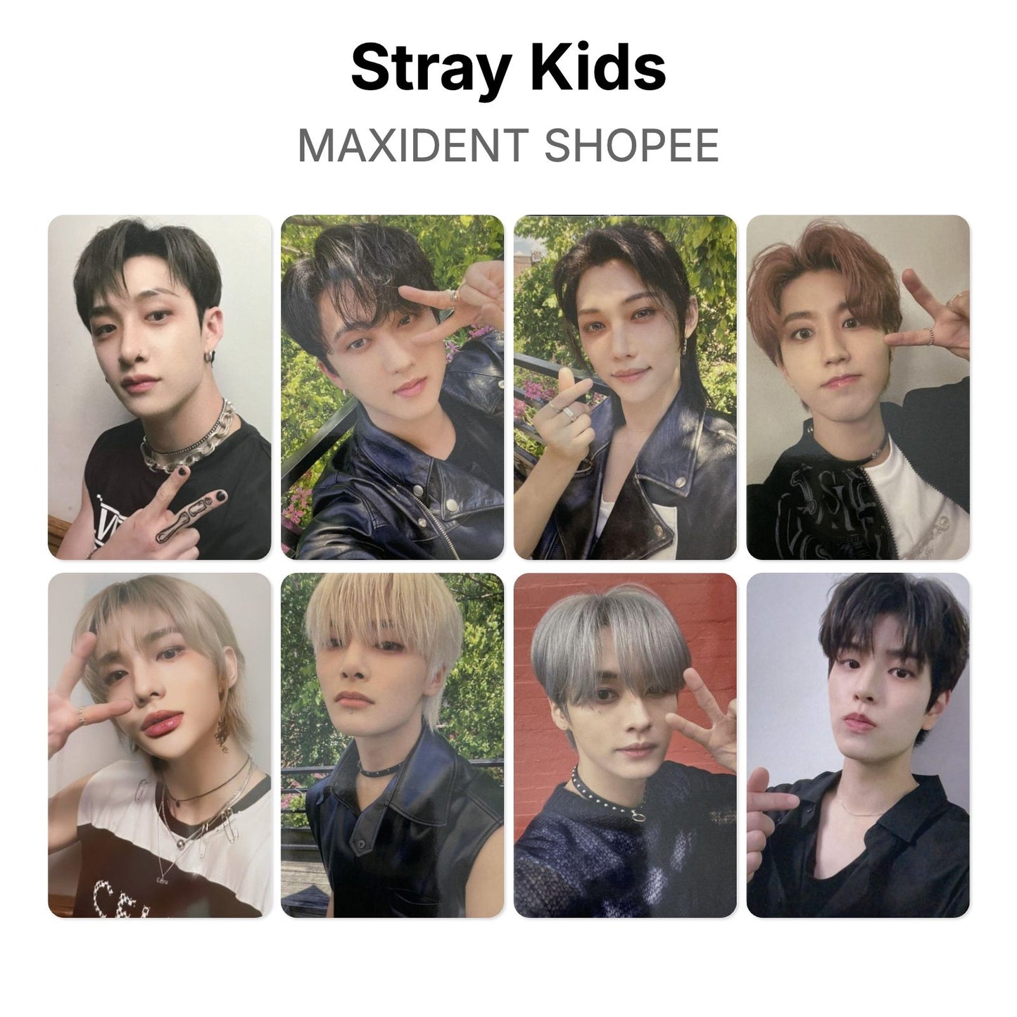 Stray Kids MAXIDENT SHOPEE 官方小卡