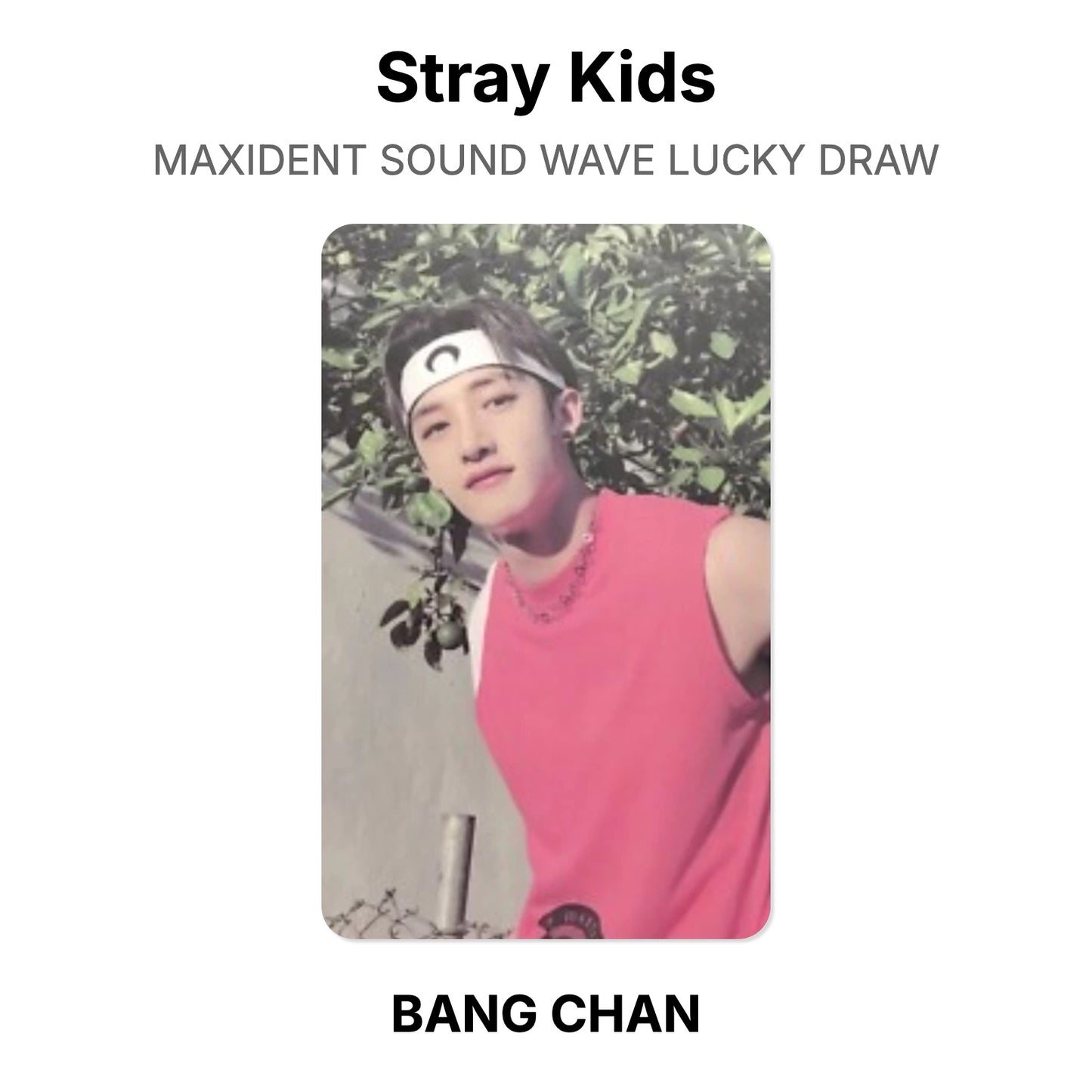Stray Kids MAXIDENT SOUND WAVE LUCKY DRAW Official Photocard