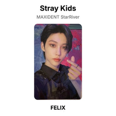 FELIX 03