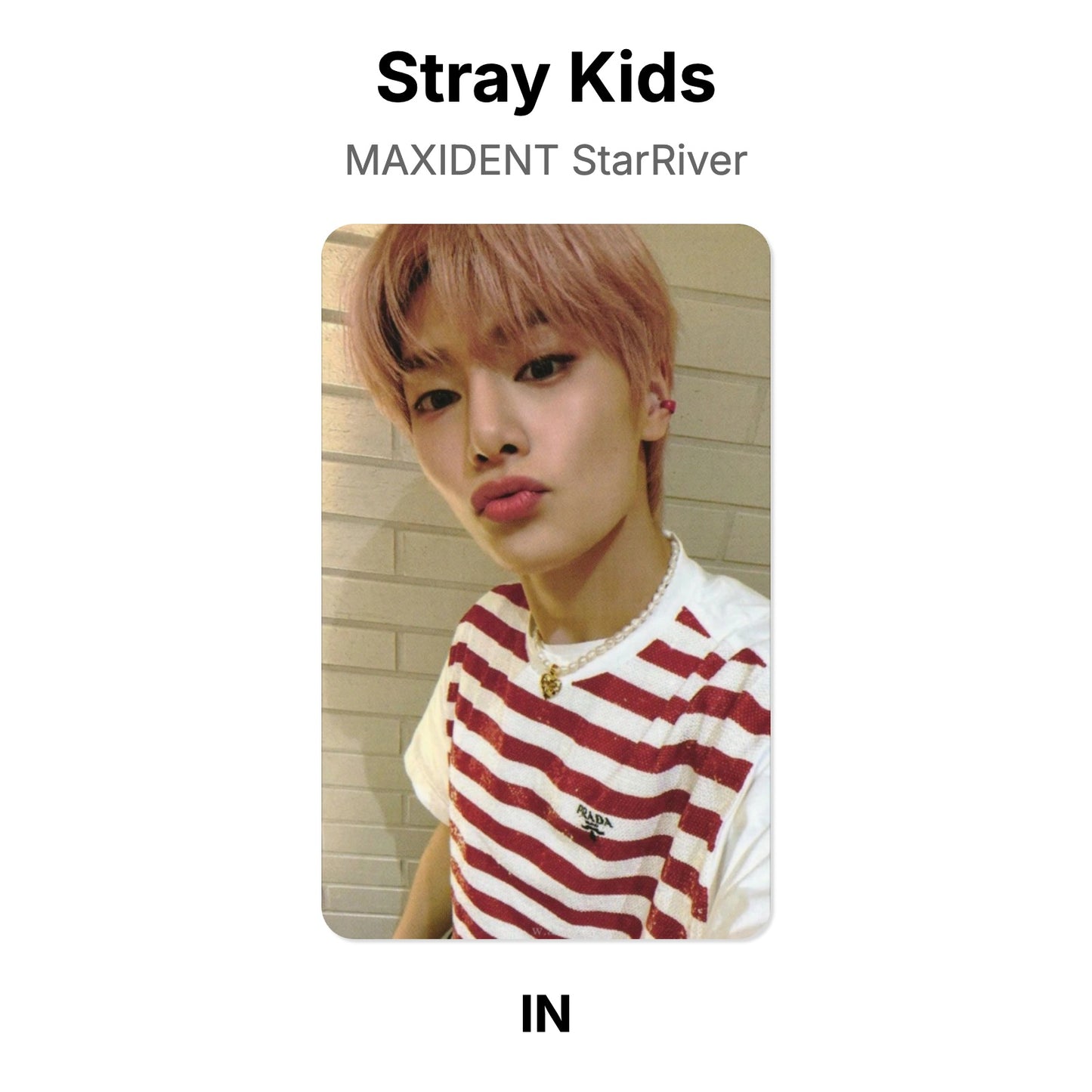 Stray Kids MAXIDENT StarRiver официальная фотокарта