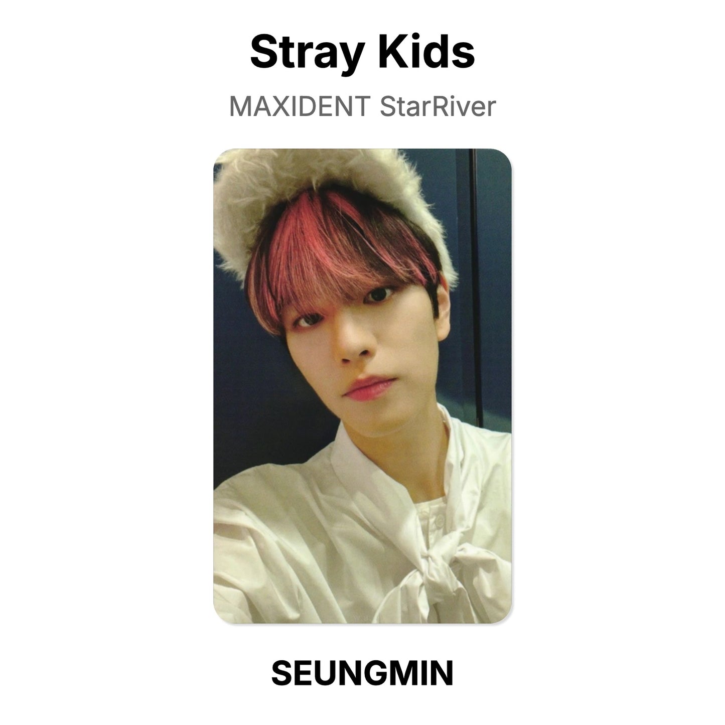 Stray Kids MAXIDENT StarRiver официальная фотокарта