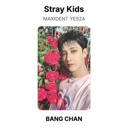 Stray Kids MAXIDENT YES24 photocard officielle