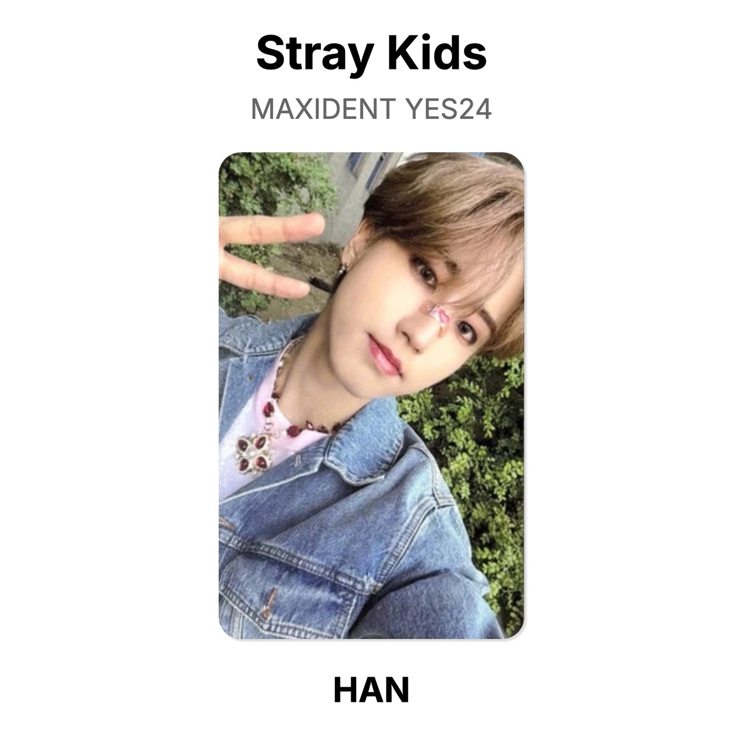 Stray Kids MAXIDENT YES24 photocard officielle