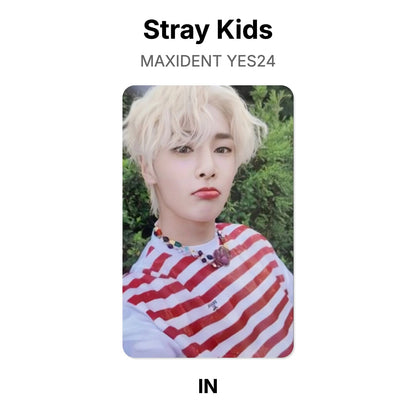 Stray Kids MAXIDENT YES24 photocard officielle