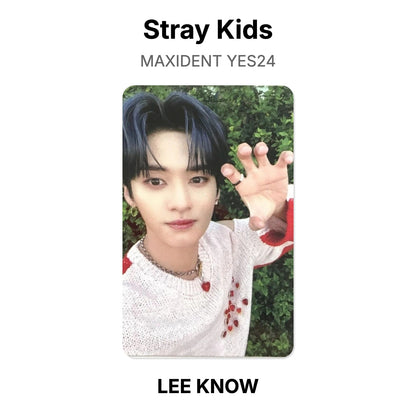 Stray Kids MAXIDENT YES24 photocard officielle