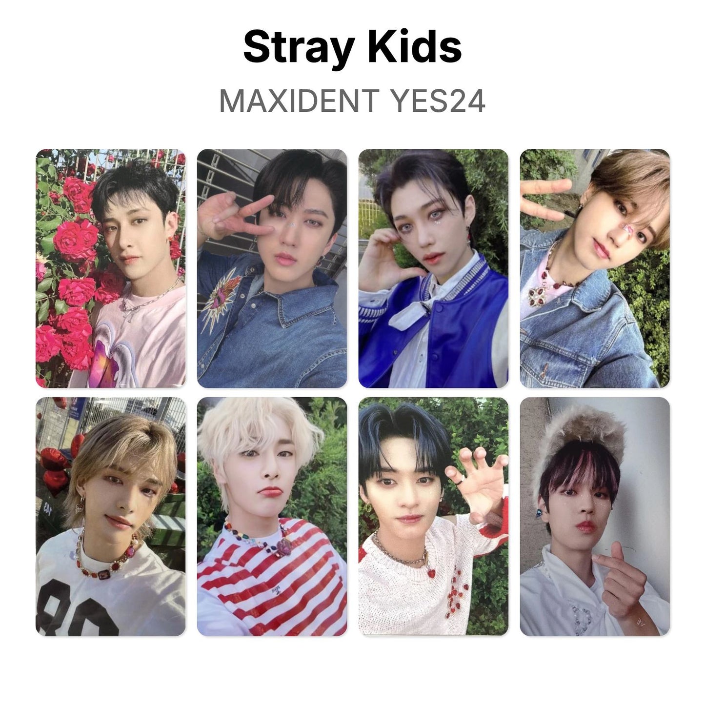 Stray Kids MAXIDENT YES24 photocard officielle