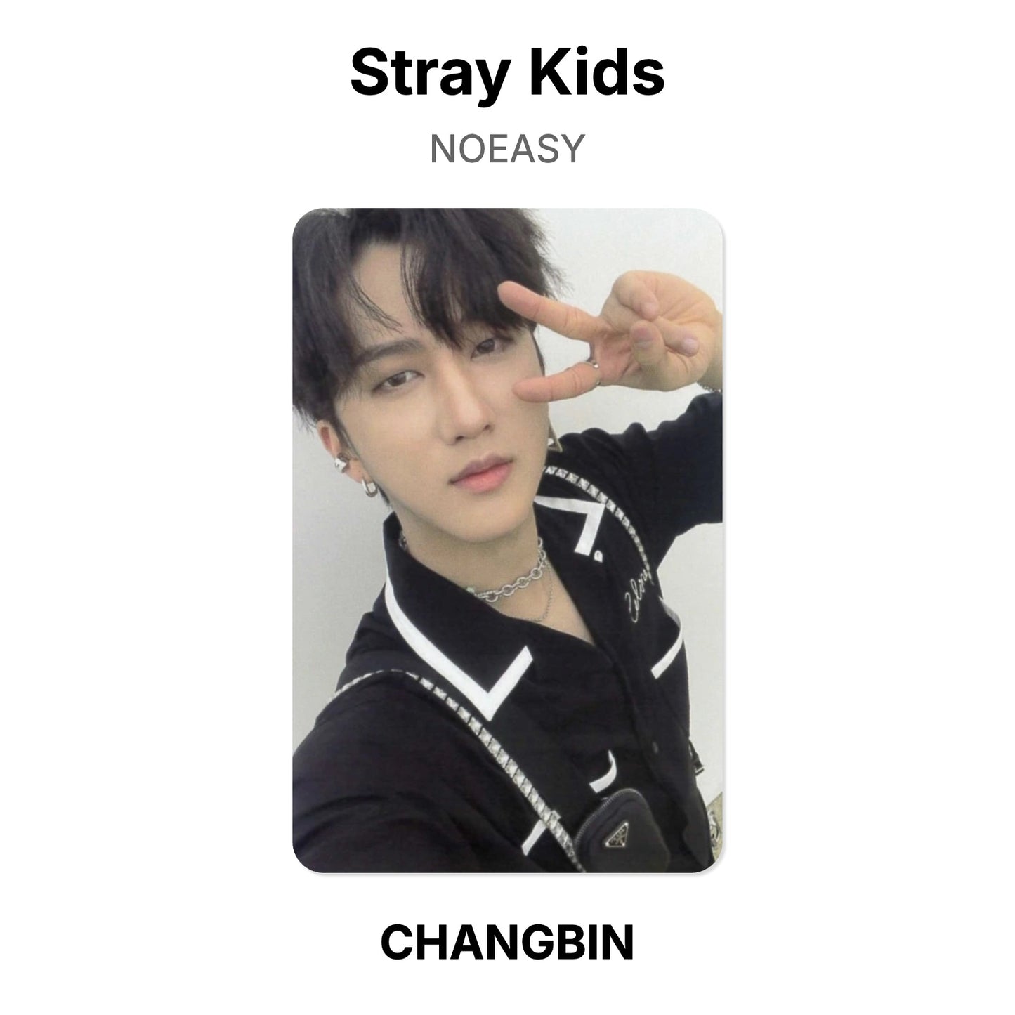 Stray Kids NOEASY photocard oficial
