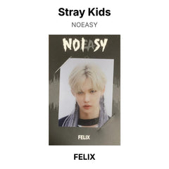 FELIX 05